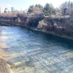 広瀬川凝灰岩部層