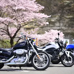 花壇自動車学校