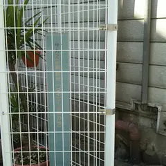 サカエ薬局(中内功実家)跡地
