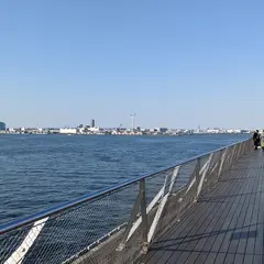 くじらのせなか