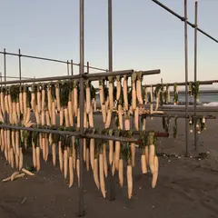 三浦海岸