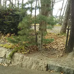 旗掛け松跡