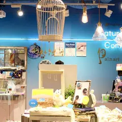 Palnart poc Tokyo