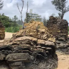 瀬嵩の浜