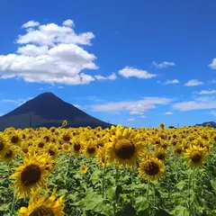 戸ヶ峯海岸