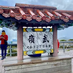 武嶺