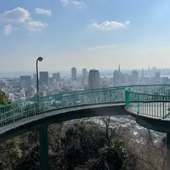 ビーナスブリッジ