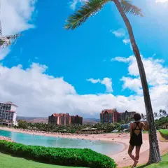 コオリナビーチ