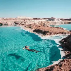 シワ（siwa）