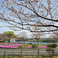 みずがめの郷
