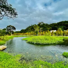月眉人工湿地生態公園
