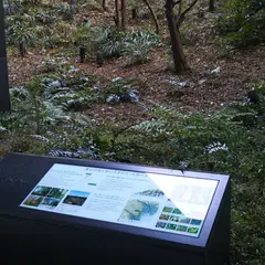 大手町の森