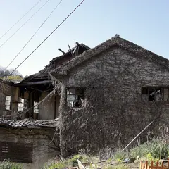長江