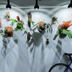 STAND BY GREEN （観葉植物専門店）