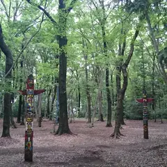 さいたま市猿花キャンプ場