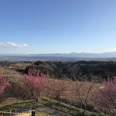 箕郷梅林