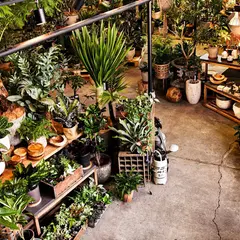 TIANA STORE