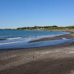 初声
