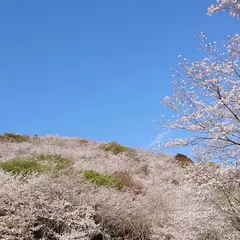花立公園