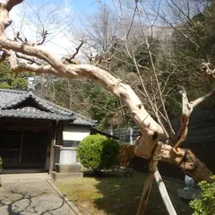 成田山太田山不動尊