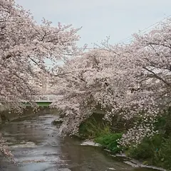 弁天橋公園