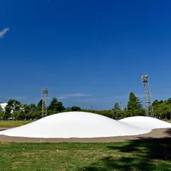 高田城址公園 芝生広場
