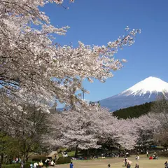 岩本山公園