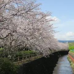 門池公園
