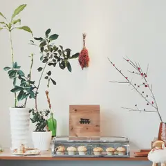 植物性焼菓子製作所 無