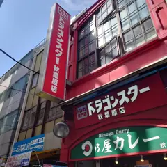 ドラゴンスター 秋葉原店