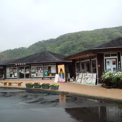 「道の駅」下賀茂温泉　湯の花