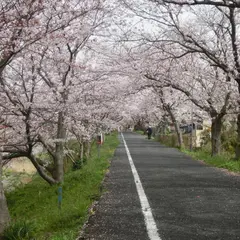 井原堤