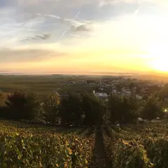 Champagne Le Brun Servenay