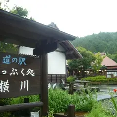 道の駅いっぷく処横川