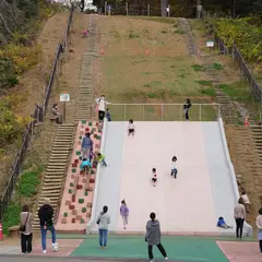 トリムの森