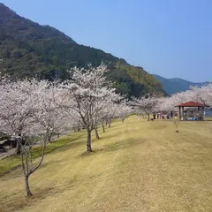 四万十桜づつみ公園