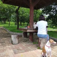 みやぎ千本桜の森 公園