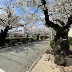 熊本県立熊本高等学校