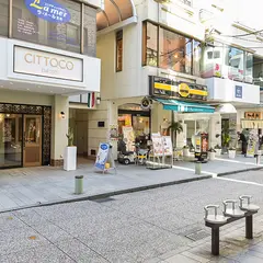 CITTOCO(チットコ)