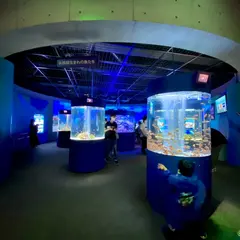鴨川シーワールド