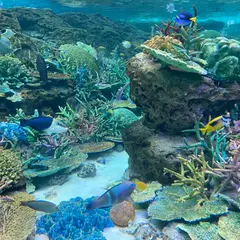 名古屋港水族館
