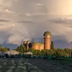 ミニ手賀沼