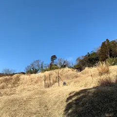 鉄杖山火守神社