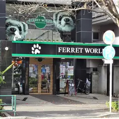 フェレットワールド中野店