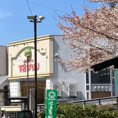 下呂プリン