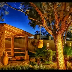 Les Jardins de Skoura