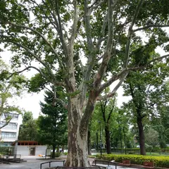 新宿区立四谷見附公園