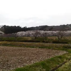 大信総合運動公園
