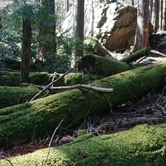 総門山