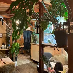 ＢＬＵＥＲＯＣＫｃａｆｅ